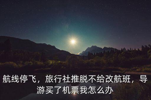 航線停飛，旅行社推脫不給改航班，導(dǎo)游買了機(jī)票我怎么辦