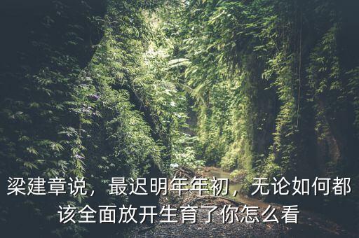 梁建章說(shuō)，最遲明年年初，無(wú)論如何都該全面放開(kāi)生育了你怎么看