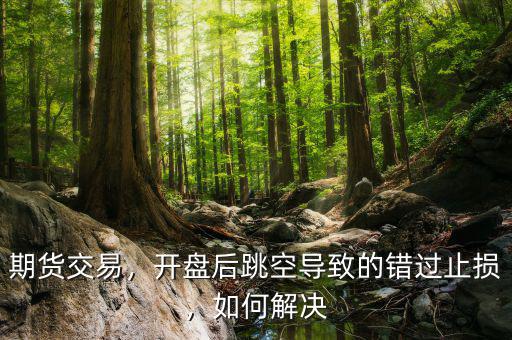期貨交易，開盤后跳空導致的錯過止損，如何解決