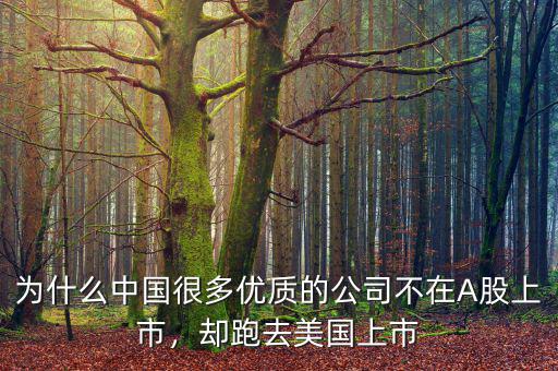 為什么中國很多優(yōu)質(zhì)的公司不在A股上市，卻跑去美國上市