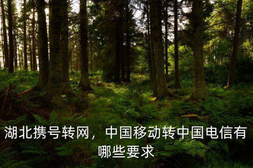 湖北攜號轉(zhuǎn)網(wǎng)，中國移動轉(zhuǎn)中國電信有哪些要求