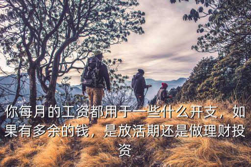 你每月的工資都用于一些什么開支，如果有多余的錢，是放活期還是做理財(cái)投資