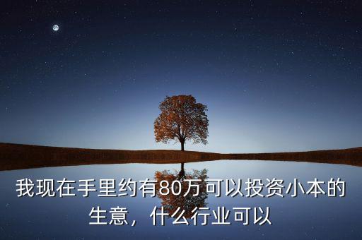 我現(xiàn)在手里約有80萬(wàn)可以投資小本的生意，什么行業(yè)可以