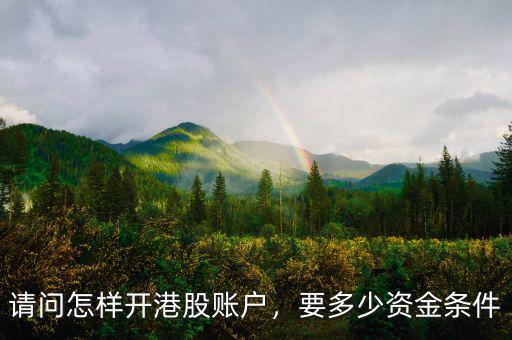 請問怎樣開港股賬戶，要多少資金條件