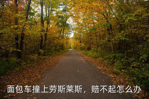 面包車撞上勞斯萊斯，賠不起怎么辦