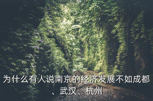為什么有人說南京的經(jīng)濟(jì)發(fā)展不如成都、武漢、杭州