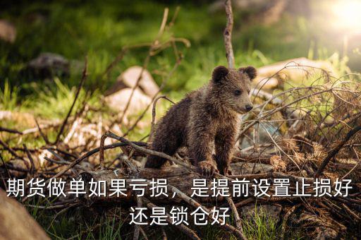 期貨做單如果虧損，是提前設(shè)置止損好還是鎖倉好