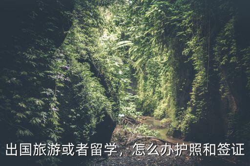 出國旅游或者留學，怎么辦護照和簽證