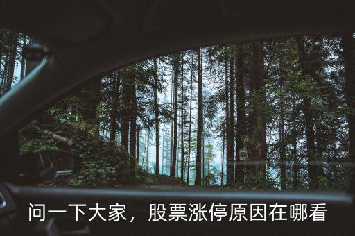 問一下大家，股票漲停原因在哪看