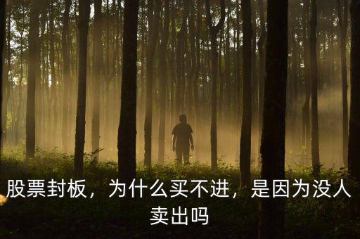 股票封板，為什么買不進(jìn)，是因?yàn)闆](méi)人賣出嗎