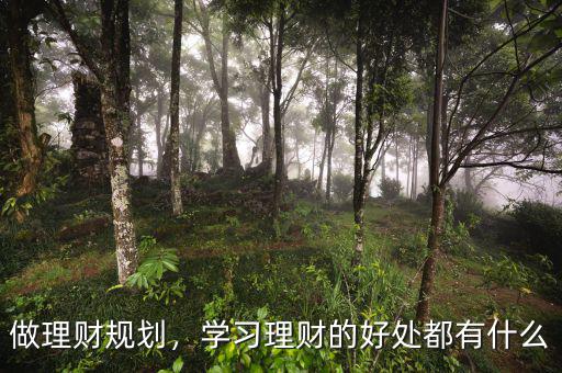 做理財規(guī)劃，學(xué)習(xí)理財?shù)暮锰幎加惺裁? class=