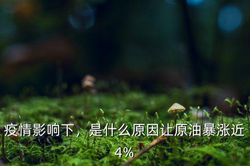 疫情影響下，是什么原因讓原油暴漲近4%