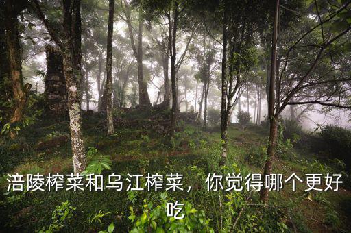 涪陵榨菜和烏江榨菜，你覺得哪個更好吃
