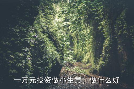 一萬(wàn)元投資做小生意，做什么好