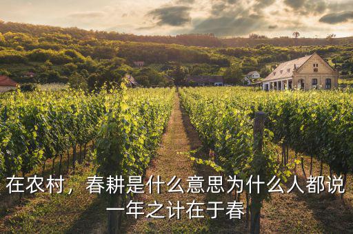 在農(nóng)村，春耕是什么意思為什么人都說一年之計在于春