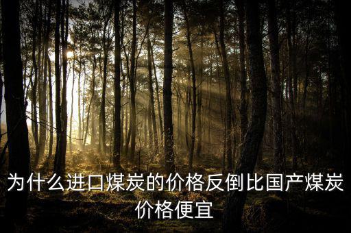 為什么進(jìn)口煤炭的價(jià)格反倒比國產(chǎn)煤炭價(jià)格便宜