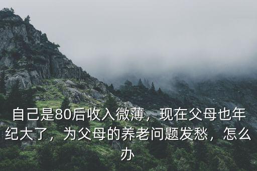 自己是80后收入微薄，現(xiàn)在父母也年紀(jì)大了，為父母的養(yǎng)老問題發(fā)愁，怎么辦