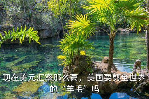 現(xiàn)在美元匯率那么高，美國(guó)要剪全世界的“羊毛”嗎
