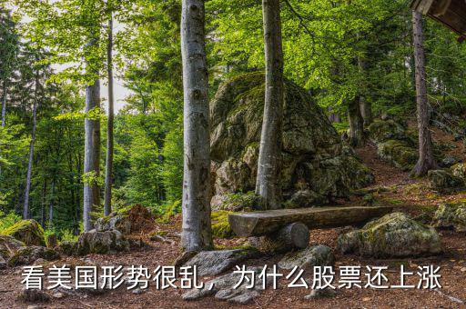 看美國形勢很亂，為什么股票還上漲