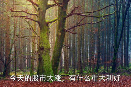 今天的股市大漲，有什么重大利好