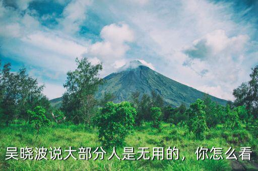 吳曉波說(shuō)大部分人是無(wú)用的，你怎么看