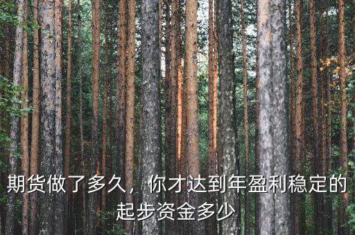 期貨做了多久，你才達到年盈利穩(wěn)定的起步資金多少