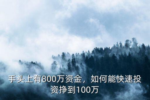 手頭上有800萬(wàn)資金，如何能快速投資掙到100萬(wàn)