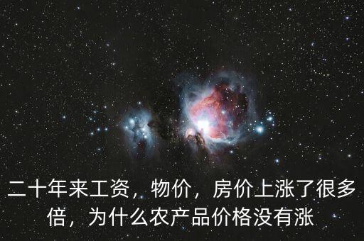 二十年來(lái)工資，物價(jià)，房?jī)r(jià)上漲了很多倍，為什么農(nóng)產(chǎn)品價(jià)格沒(méi)有漲