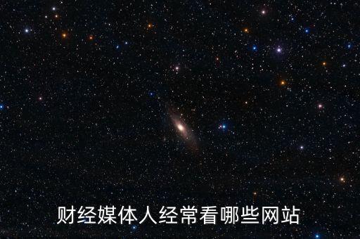 財(cái)經(jīng)媒體人經(jīng)?？茨男┚W(wǎng)站