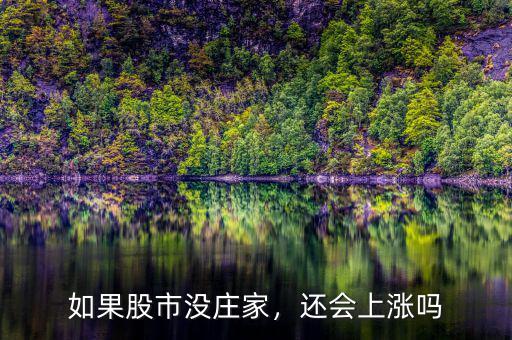 如果股市沒莊家，還會上漲嗎
