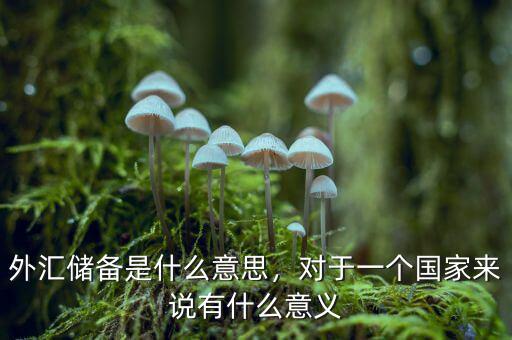 外匯儲(chǔ)備是什么意思，對(duì)于一個(gè)國(guó)家來說有什么意義