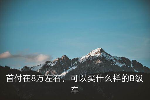 8萬(wàn)首付可以買(mǎi)什么車(chē),月供三千多能買(mǎi)什么車(chē)