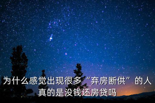 為什么感覺(jué)出現(xiàn)很多“棄房斷供”的人真的是沒(méi)錢(qián)還房貸嗎