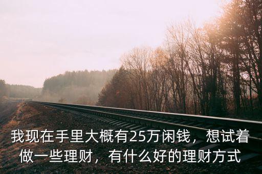 我現(xiàn)在手里大概有25萬閑錢，想試著做一些理財(cái)，有什么好的理財(cái)方式
