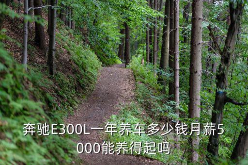 月薪多少錢(qián)可以買(mǎi)奔馳,一年賺多少錢(qián)可以買(mǎi)奔馳寶馬