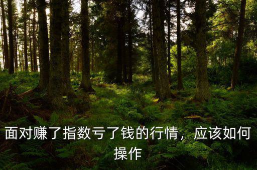 面對(duì)賺了指數(shù)虧了錢的行情，應(yīng)該如何操作