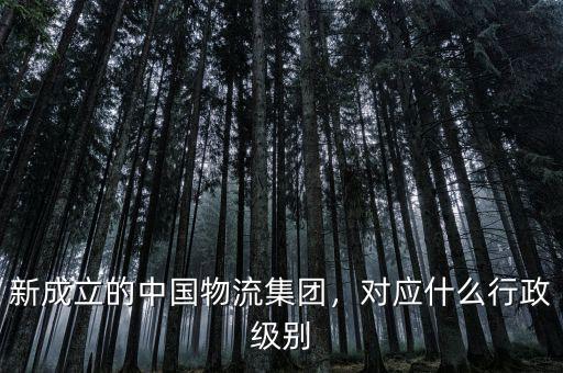 新成立的中國(guó)物流集團(tuán)，對(duì)應(yīng)什么行政級(jí)別