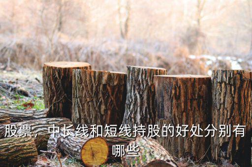 股票，中長線和短線持股的好處分別有哪些