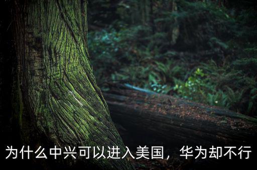 為什么中興可以進(jìn)入美國，華為卻不行