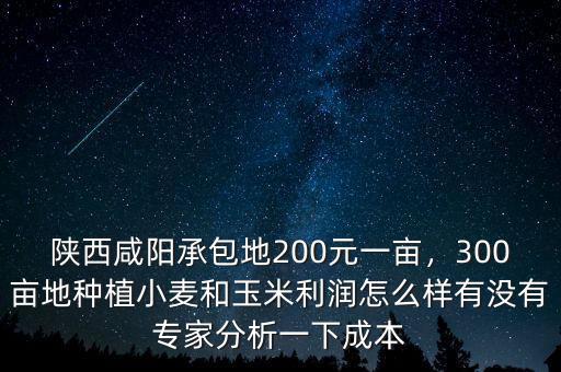 陜西咸陽承包地200元一畝，300畝地種植小麥和玉米利潤怎么樣有沒有專家分析一下成本