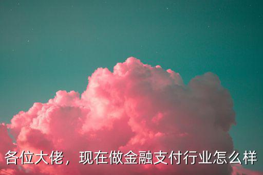 各位大佬，現(xiàn)在做金融支付行業(yè)怎么樣