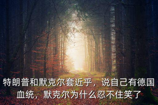 特朗普和默克爾套近乎，說自己有德國血統(tǒng)，默克爾為什么忍不住笑了