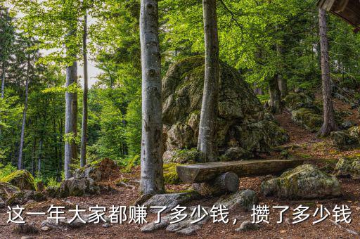 這一年大家都賺了多少錢，攢了多少錢