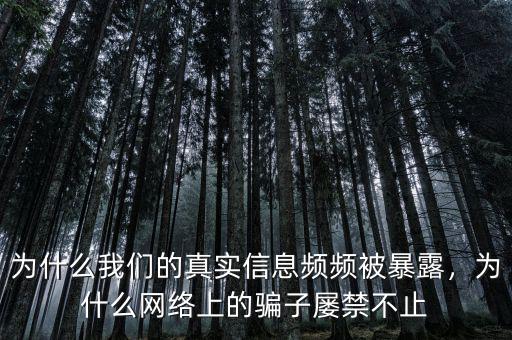 為什么我們的真實(shí)信息頻頻被暴露，為什么網(wǎng)絡(luò)上的騙子屢禁不止