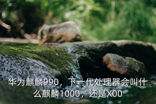 華為麒麟990，下一代處理器會(huì)叫什么麒麟1000，還是X00
