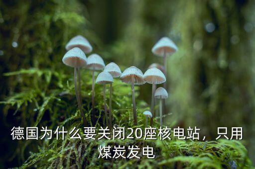 德國為什么要關(guān)閉20座核電站，只用煤炭發(fā)電