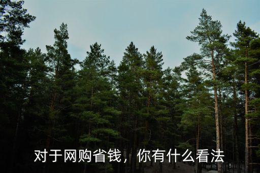 對于網(wǎng)購省錢，你有什么看法