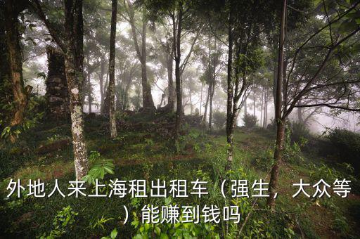 外地人來(lái)上海租出租車（強(qiáng)生，大眾等）能賺到錢嗎