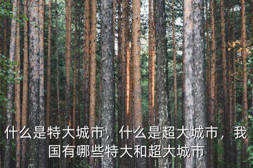 什么是特大城市，什么是超大城市，我國(guó)有哪些特大和超大城市