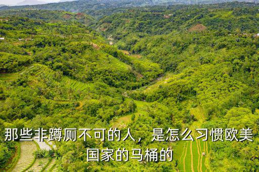 那些非蹲廁不可的人，是怎么習(xí)慣歐美國家的馬桶的